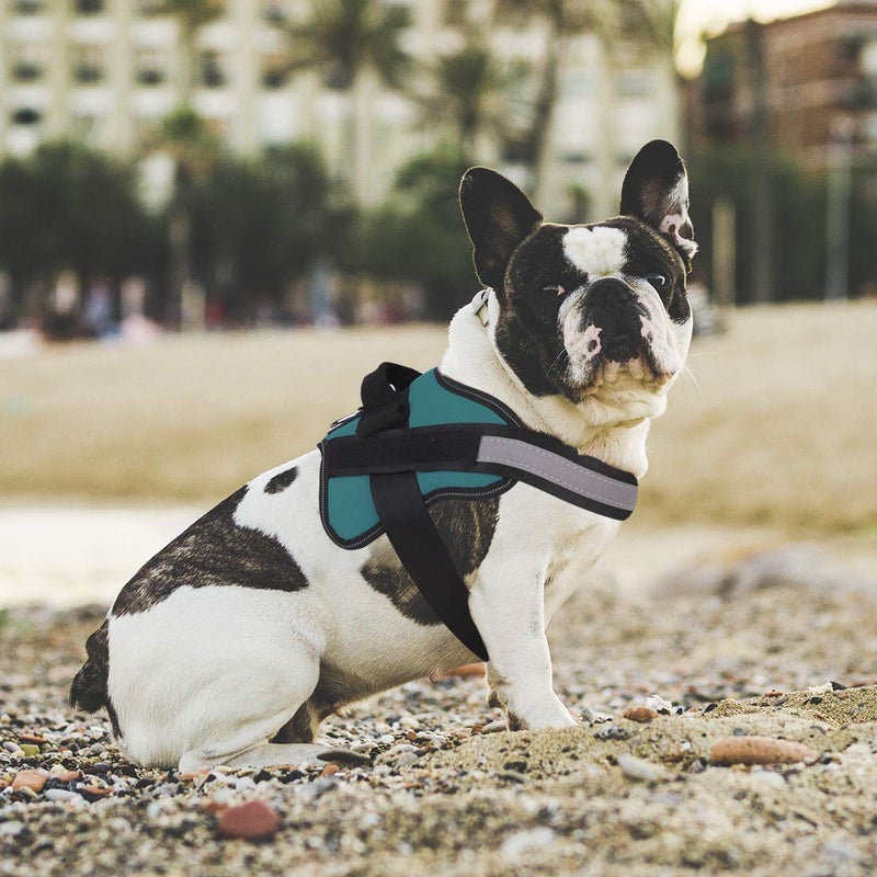 Bolux Dog Harness, No-Pull Reflective Dog Vest, Breathable Adjustable Pet Harness with Handle for Outdoor Walking - No More Pulling, Tugging or Choking (Turquoise, L) - Image 5
